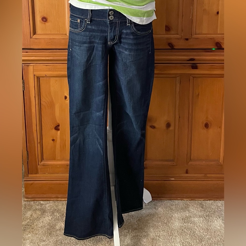 Vintage American Eagle Artist Jeans